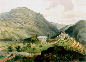 Les Briars, Sainte-Hélène, début du 19ème siècle 1851 - Unbekannt