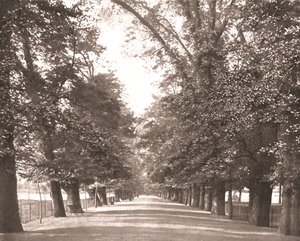 La Promenade Large, Oxford, 1894 - Unbekannt