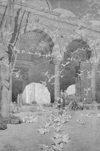La cour de la mosquée des pigeons, 1913 - Unbekannt