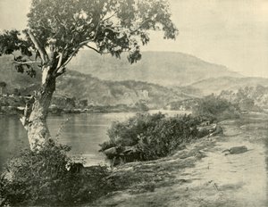 La Derwent à New Norfolk, 1901