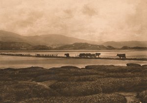 Le Dovey à Ynyslas, 1902 - Unbekannt