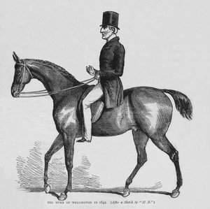 Le Duc de Wellington
