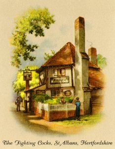 Les coqs de combat, St. Albans, Hertfordshire, 1936 - Unbekannt