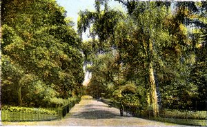 La promenade des fleurs, Kensington Gardens, Londres, 20e siècle