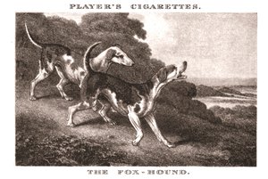 Le Foxhound - Unbekannt