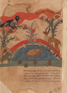 La gazelle devient amie avec le corbeau, la souris et la tortue - Unbekannt