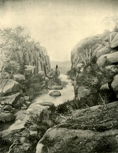 La Gorge, Chutes de Buffalo, Alpes victoriennes, 1901