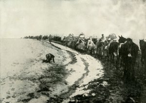La Grande Retraite Serbe, 1919 - Unbekannt