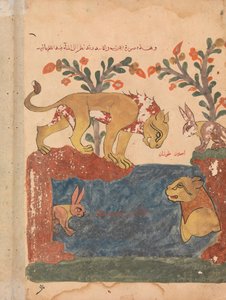 Le lièvre, le lion et le puits, Folio d