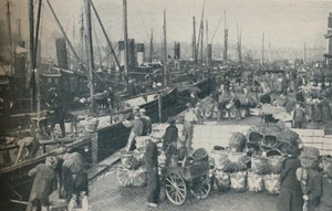 La saison du hareng bat son plein, 1937