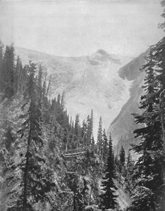 Le Glacier Illicilliwaet, 19ème siècle