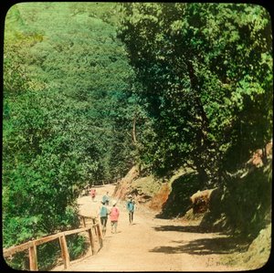 La route du Mall, Simla, Inde, fin du 19e ou début du 20e siècle