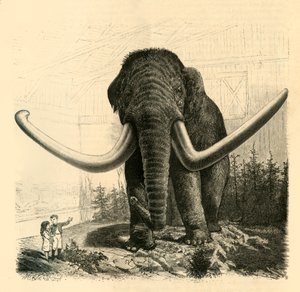 Le Mammouth de Saint-Pétersbourg, 1883 - Unbekannt