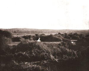 La Nouvelle Forêt, Hampshire, 1894 - Unbekannt