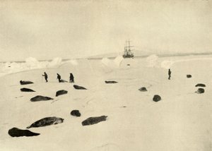 Le Nimrod à Pram Point le 4 mars 1909 - Unbekannt