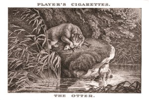 La Loutre, 1924 - Unbekannt