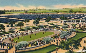 Le Paddock à Santa Anita, Los Angeles Turf Club, Arcadia, Californie - Unbekannt