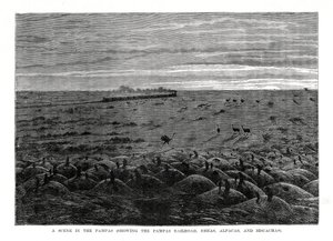 Le chemin de fer des Pampas, basses terres d
