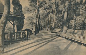La promenade des pins, 1929 - Unbekannt