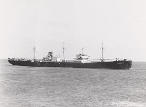Le cargo polonais 