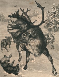 Le Renne, 19e siècle - Unbekannt