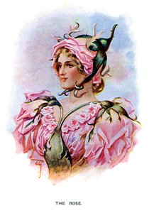 La Rose, 1899 - Unbekannt