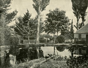 Les étangs à saumon, New Norfolk, 1901 - Unbekannt