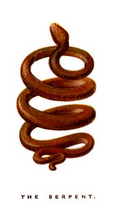 Le Serpent - Unbekannt