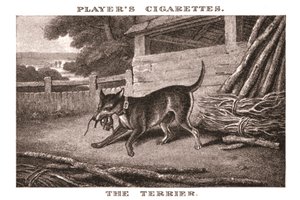 Le Terrier, 1924 - Unbekannt