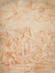 Le Triomphe de Galatée, 16e siècle - Unbekannt
