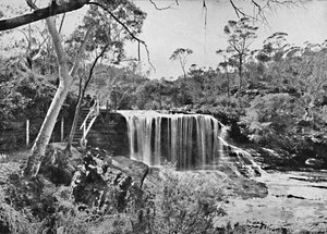 Le Rocher Pleureur à Wentworth Falls, Blue Mountains - Unbekannt