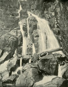 Les chutes de Wellington, Mont Wellington, 1901 - Unbekannt