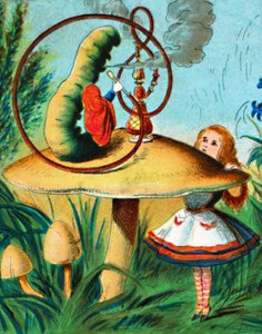 La chenille sur son champignon, vers 1900 - Unbekannt