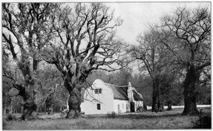 La cave du domaine viticole Vergelegen, Afrique du Sud, 1931 - Unbekannt