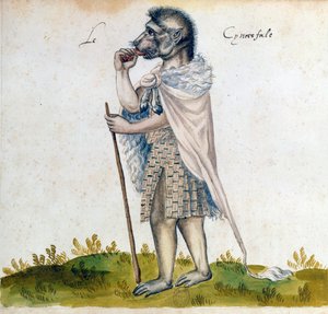 Le cynocéphale, 15ème siècle - Unbekannt