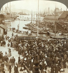 Le port, N.O. depuis la place du marché à Bergen, le plus grand marché aux poissons de Norvège, c1905 - Unbekannt