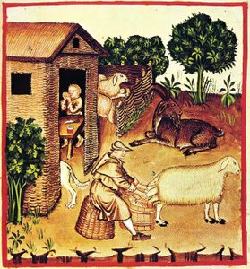 La production de fromage. Une miniature du Tacuinum Sanitatis, seconde moitié du 14e siècle - Unbekannt