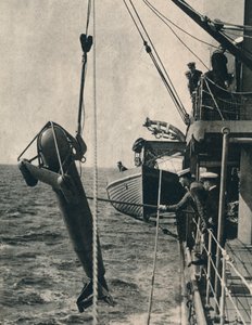 Le paravane en forme de requin, 1943