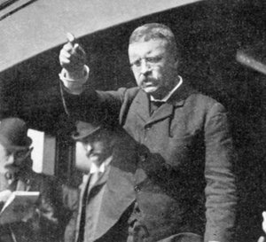 Theodore Roosevelt s