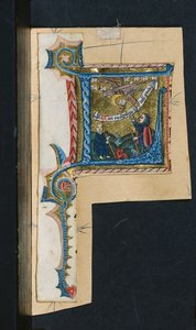 Trois découpes d