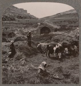 Battage du grain près du puits de Jacob, vers 1900 - Unbekannt