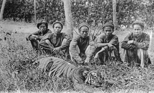 Chasseurs de tigres, Tonkin, Vietnam, XXe siècle - Unbekannt