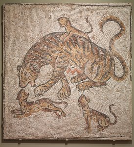 Tigresse et petits, 300s - Unbekannt