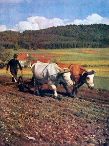 Tilling, Allemagne, 1943 - Unbekannt