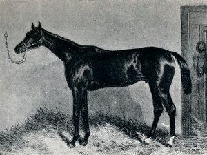 Tim Whiffler, vers 1860, 1911 - Unbekannt