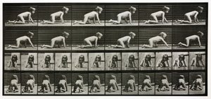 Photographies en accéléré d