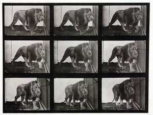 Photographies en accéléré d