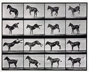 Photographies en accéléré d