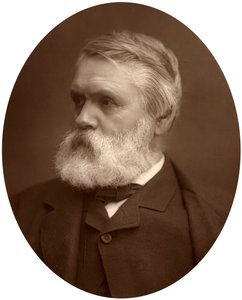 Tom Taylor, dramaturge et critique, 1881 - Unbekannt
