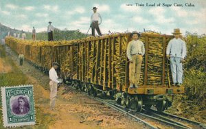 Train de cannes à sucre, Cuba, 1911